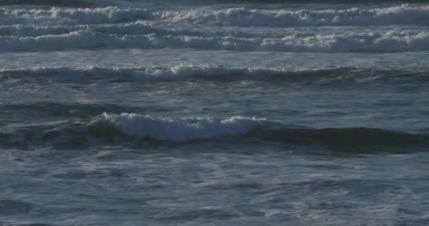 Cap Ferret Lge Cap Ferret Departement Gironde Region Nouvelle Aquitaine — Stock video