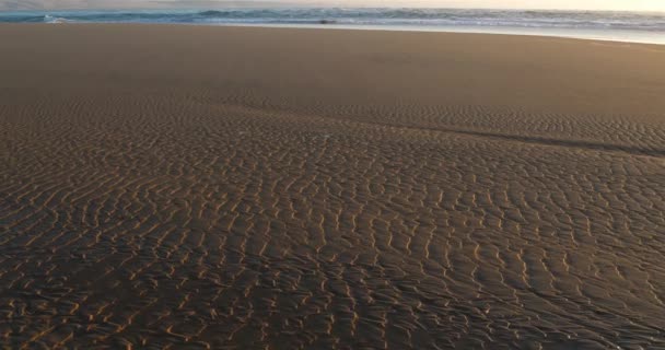 Cap Ferret Lge Cap Ferret Gironde Regio Nouvelle Aquitaine Frankrijk — Stockvideo