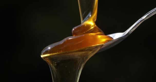 Honing Gieten Lepel Tegen Zwarte Achtergrond — Stockvideo
