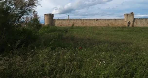 Aigues Mortes Gard Occitanie Fransa Güney Tarafındaki Surlar Sazlıklar — Stok video