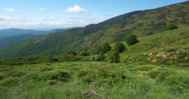 Col de la Croix de Berthel, Pont de Montvert, Mont Lozere, Lozere, Fransa. Cevennes Ulusal Parkı, Unesco tarafından sınıflandırılmış dünya mirası.