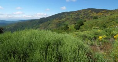 Col de la Croix de Berthel, Pont de Montvert, Mont Lozere, Lozere, Fransa. Cevennes Ulusal Parkı, Unesco tarafından sınıflandırılmış dünya mirası.
