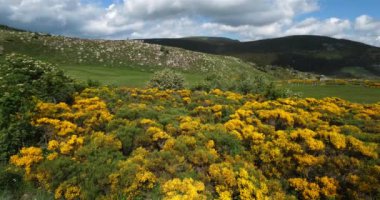 Cevennes Ulusal Parkı, col de niel, Mont Lozere, Fransa