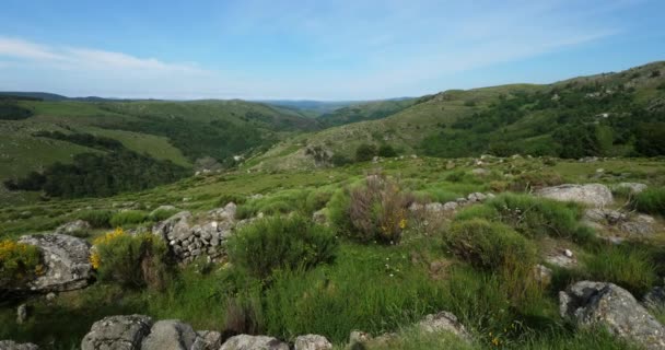 Cevennes Nemzeti Park Pont Monvert Mont Lozere Franciaország Unesco Által — Stock videók