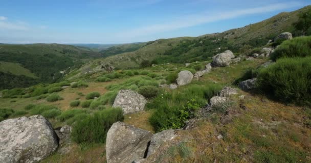 Parque Nacional Cevennes Pont Monvert Mont Lozere França Parque Nacional — Vídeo de Stock