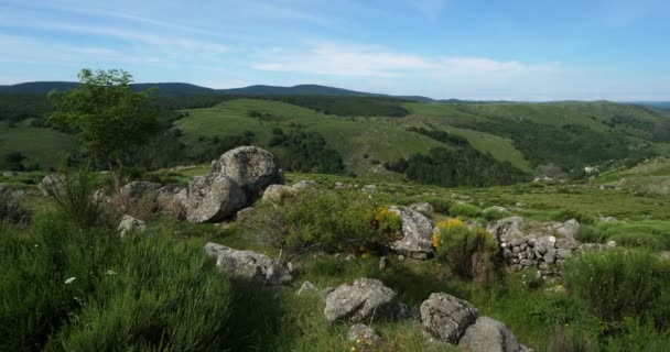 Parque Nacional Cevennes Pont Monvert Mont Lozere França Parque Nacional — Vídeo de Stock