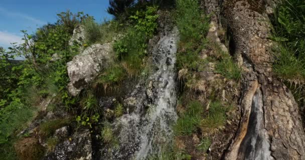 Natürliche Quelle Nationalpark Cevennen Lozere Frankreich Der Nationalpark Der Cevennen — Stockvideo