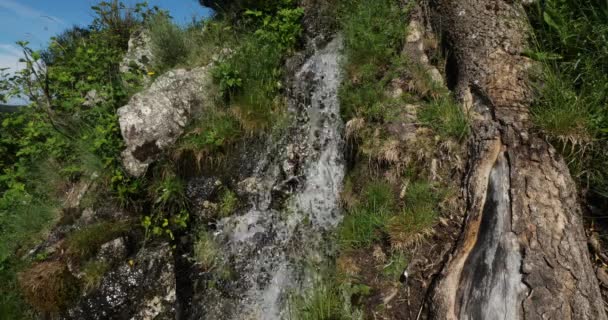Primavera Natural Parque Nacional Cevennes Lozere França Parque Nacional Cevennes — Vídeo de Stock