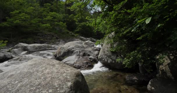 Schlucht Von Rieutort Fluss Nationalpark Der Cevennen Lozere Frankreich — Stockvideo
