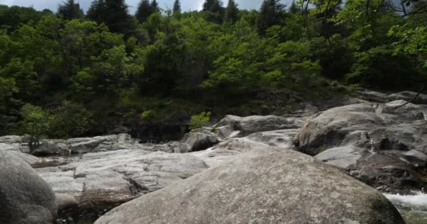 Kaňon Rieutort Řeka Národním Parku Cevennes Lozere Francie — Stock video