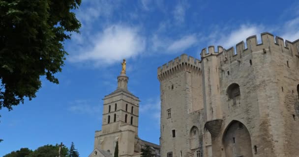 Papalık Sarayı Avignon Fransa — Stok video