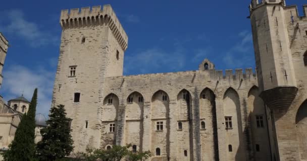 Pałac Papieski Avignon Francja — Wideo stockowe