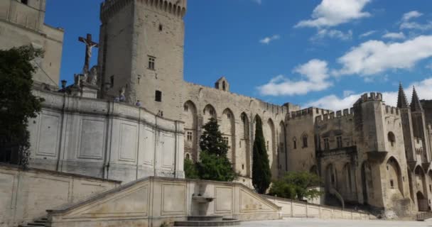 Het Pauselijk Paleis Avignon Frankrijk — Stockvideo