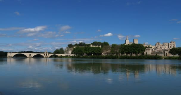 Ponte Saint Benezet Cidade Velha Avignon Departamento Vaucluse França Primeiro — Vídeo de Stock