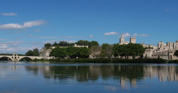 Saint Benezet Bridge Old City Avignon Vaucluse Department France Foreground — Stock Video