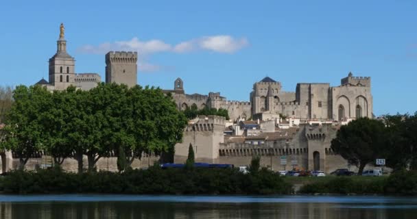 Папский Дворец Авиньон Департамент Воклюз Франция Переднем Плане Река Рона — стоковое видео