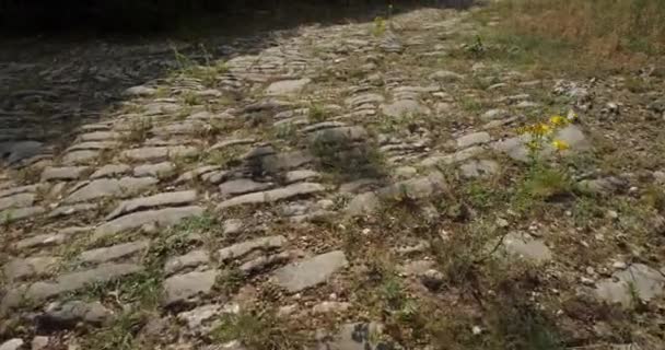 Carretera Romana Ambrussum Villetelle Occitanie Francia — Vídeos de Stock