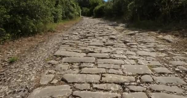 Римська Дорога Ambrussum Villetelle Occitanie France — стокове відео