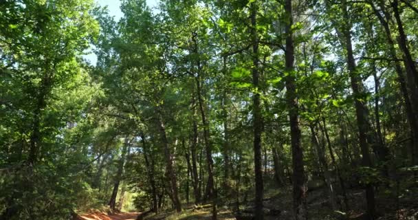 Colorado Francês Rustrel Vaucluse Provence França — Vídeo de Stock