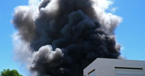 法国维吉尼亚 Aigues Mortes 工厂起火 — 图库视频影像