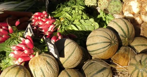 Čerstvá Zelenina Stáncích Trhu Jižní Francii Meloun Ředkvičky Mrkev — Stock video
