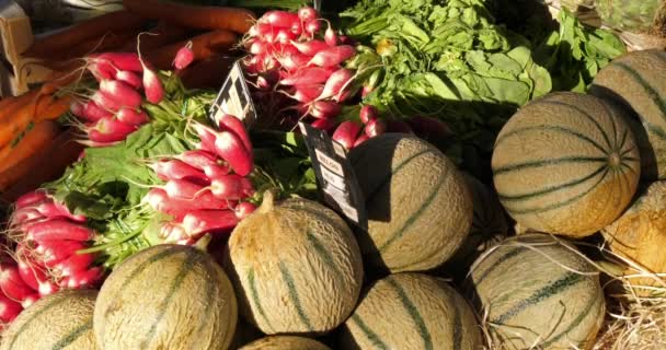南フランス市場の屋台で新鮮な野菜 メロン 大根サラダ — ストック動画