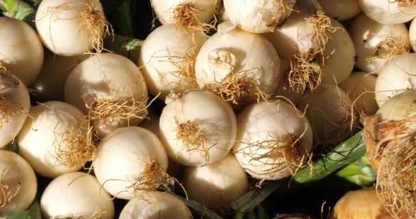 Verduras Frescas Puestos Mercado Del Sur Francia Cebollas — Vídeos de Stock