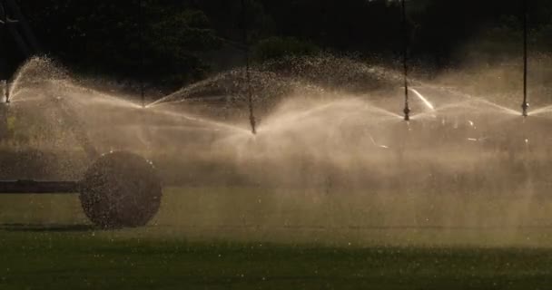 Sprinkler System Irrigating Field Occitanie France — Stock Video