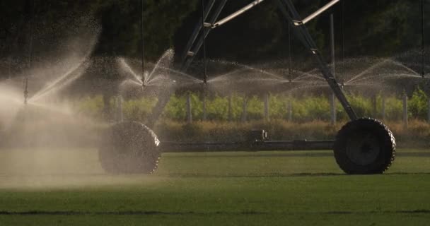 スプリンクラーシステムフランスのオクシタニーの灌漑フィールド — ストック動画