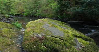 Daoulas Boğazı, Cotes d zırh bölümü, Brittany, Fransa