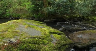 Daoulas Boğazı, Cotes d zırh bölümü, Brittany, Fransa