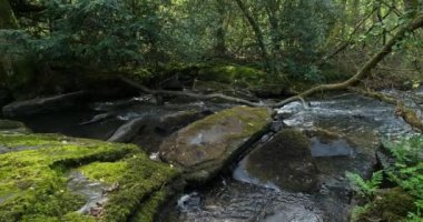 Daoulas Boğazı, Cotes d zırh bölümü, Brittany, Fransa