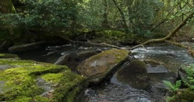 Daoulas Boğazı, Cotes d zırh bölümü, Brittany, Fransa