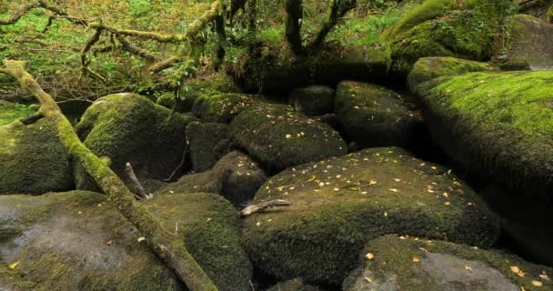 Toul Goulic Gorge Cotes Armor Departement Bretagne Frankrike — Stockvideo