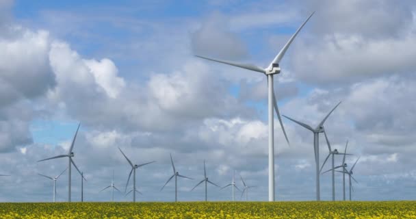 Campo Colza Brassica Napus Aerogeneradores Región Beauce Norte Francia — Vídeo de stock