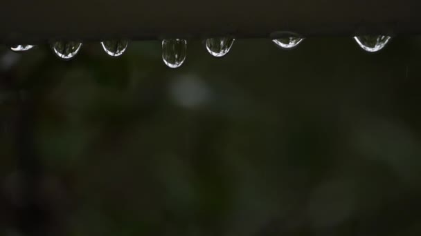 Дождь Падает Время Шторма — стоковое видео