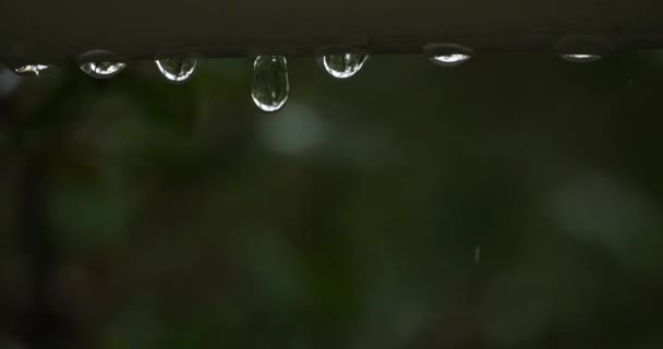 Lluvia Cayendo Durante Una Tormenta — Vídeo de stock
