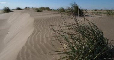 Vahşi manzara, Espiguette, Camargue, Fransa. Kum manzarası, Espiguette, Gard Departmanı, Fransa