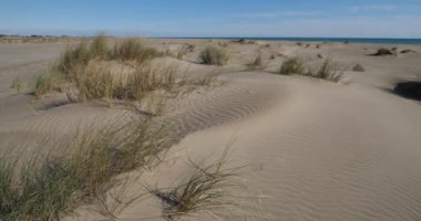 Vahşi manzara, Espiguette, Camargue, Fransa. Kum manzarası, Espiguette, Gard Departmanı, Fransa