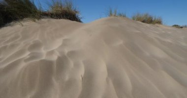 Vahşi manzara, Espiguette, Camargue, Fransa. Kum manzarası, Espiguette, Gard bölümü, Fransa. Arka planda Espiguette 'in deniz feneri var..