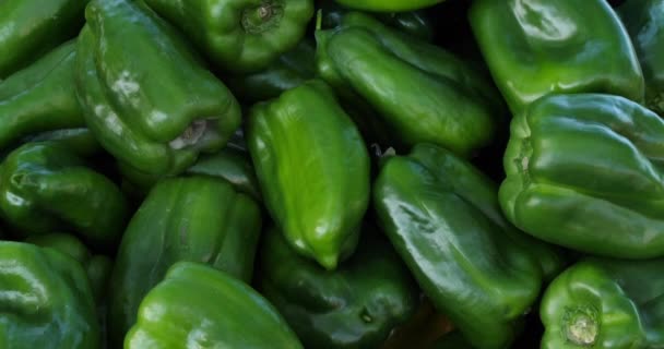 Papriky Francouzském Trhu Zeleninou — Stock video