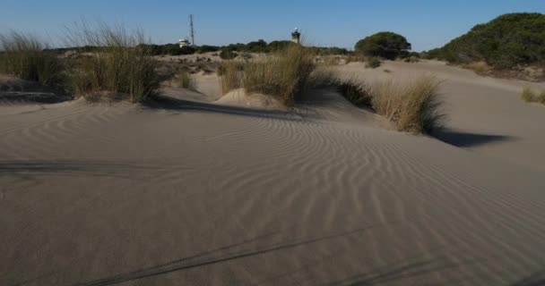 Wild Landscape Espiguette Camargue França Areia Paisagem Espiguette Gard Departamento — Vídeo de Stock