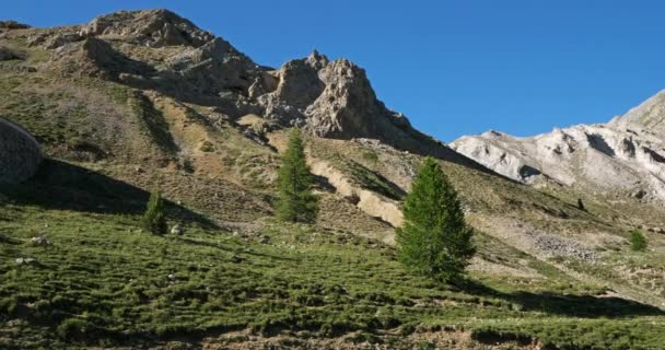 Izoard Geçidi Queyras Geçidi Hautes Alpes Fransa — Stok video