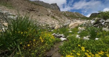 Vanoise doğal parkında vahşi nehir, Savoie, Fransa