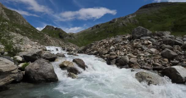 Rivière Sauvage Dans Parc National Naturel Vanoise Savoie France — Video