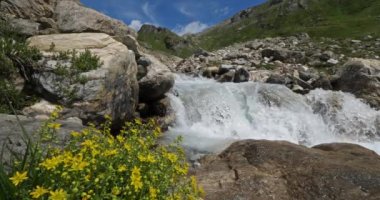 Vanoise doğal parkında vahşi nehir, Savoie, Fransa