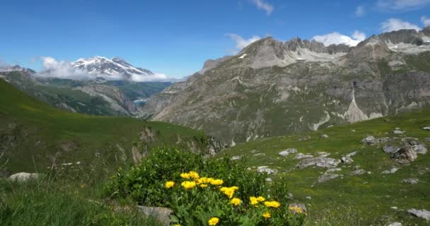 フランスのサヴォワ県のアイスラン峠に登ると 背景にはマウントPourriがあります — ストック動画