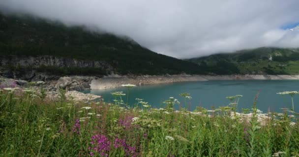 Озеро Тинь Департамент Савойя Французские Альпы Франция — стоковое видео