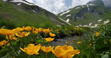 Verney Gölü, Little St Bernard Geçidi, İtalya