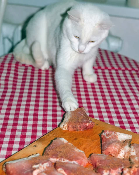テーブルの上の白い猫は生の肉をスパイスでボードから盗む — ストック写真